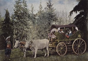 トルコのレディースプロムナード車 作： European Photographer